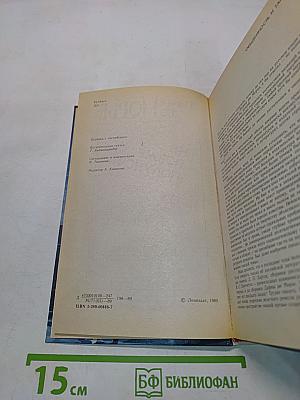 Не позже полуночи