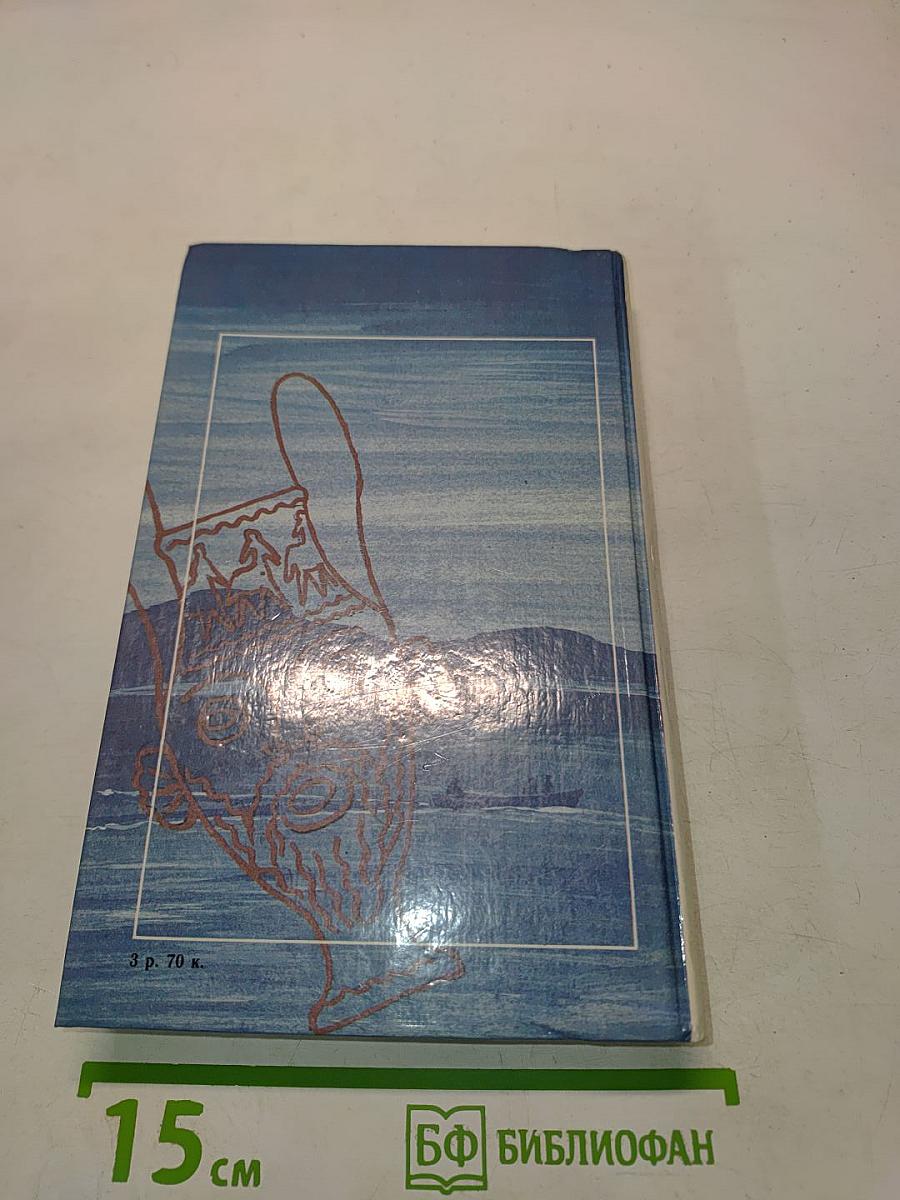 Не позже полуночи