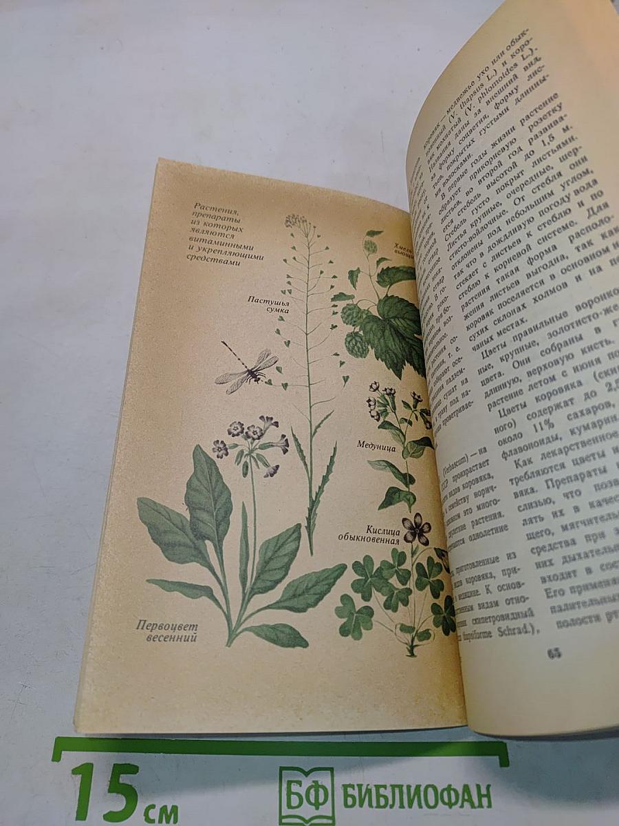 Азбука природы (Лекарственные растения)