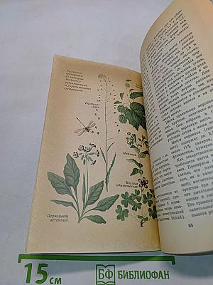 Азбука природы (Лекарственные растения)