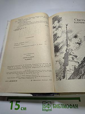 Одеты камнем. Радищев