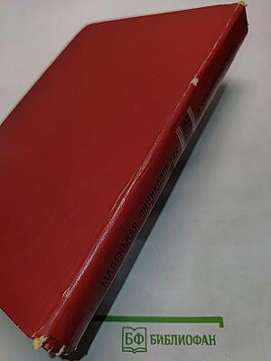 Маленькая энциклопедия о большой кибернетике