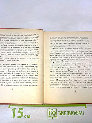 Россия во мгле