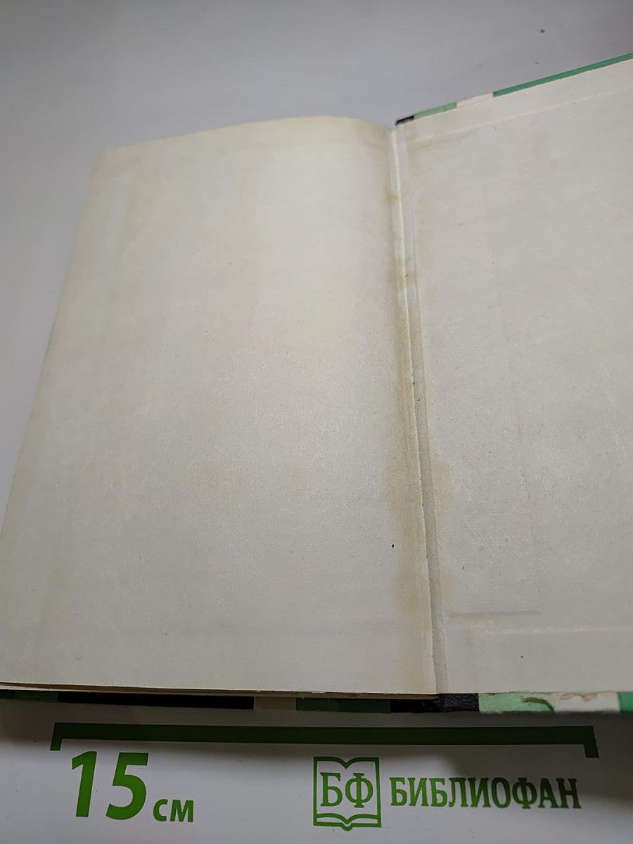 Черный генерал. Двое над океаном