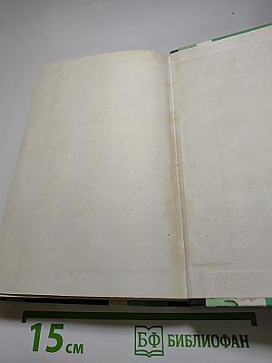 Черный генерал. Двое над океаном