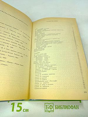 Быт, здоровье, красота