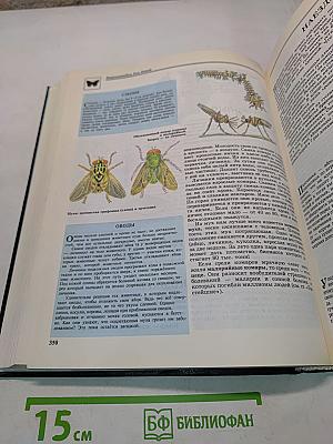 Энциклопедия для детей. Биология. Том 2