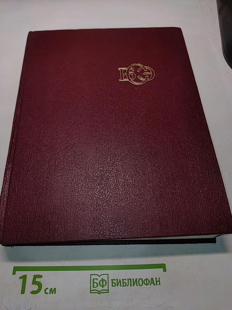 Большая Советская Энциклопедия. Том 10. Ива — Итальянцы