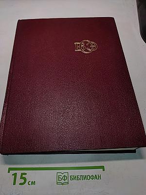 Большая Советская Энциклопедия. Том 10. Ива — Итальянцы