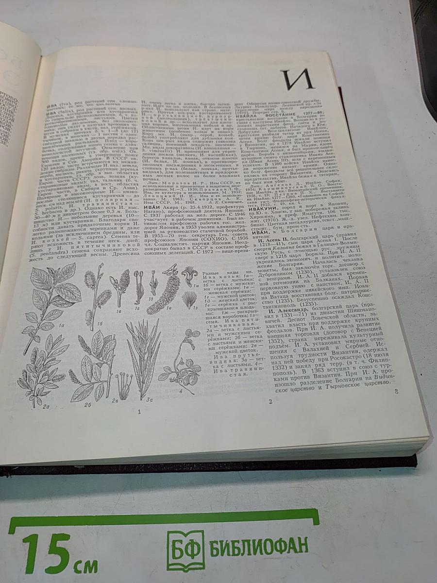 Большая Советская Энциклопедия. Том 10. Ива — Итальянцы