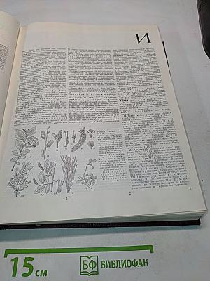 Большая Советская Энциклопедия. Том 10. Ива — Итальянцы