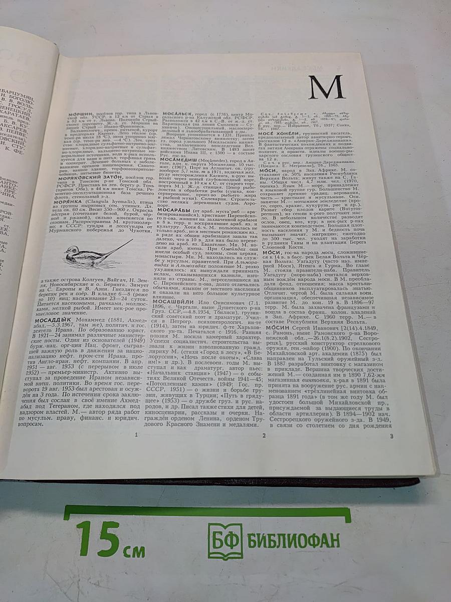 Большая Советская Энциклопедия. Том 17