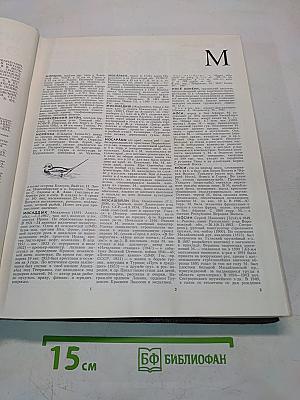 Большая Советская Энциклопедия. Том 17