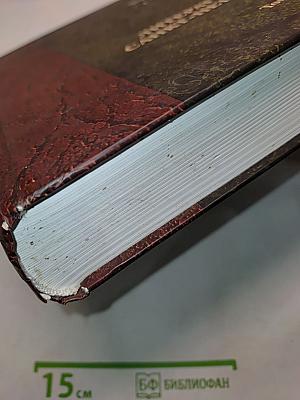 Литературный Санкт-Петербург XX век. Энциклопедический словарь. Том 1. А-Д