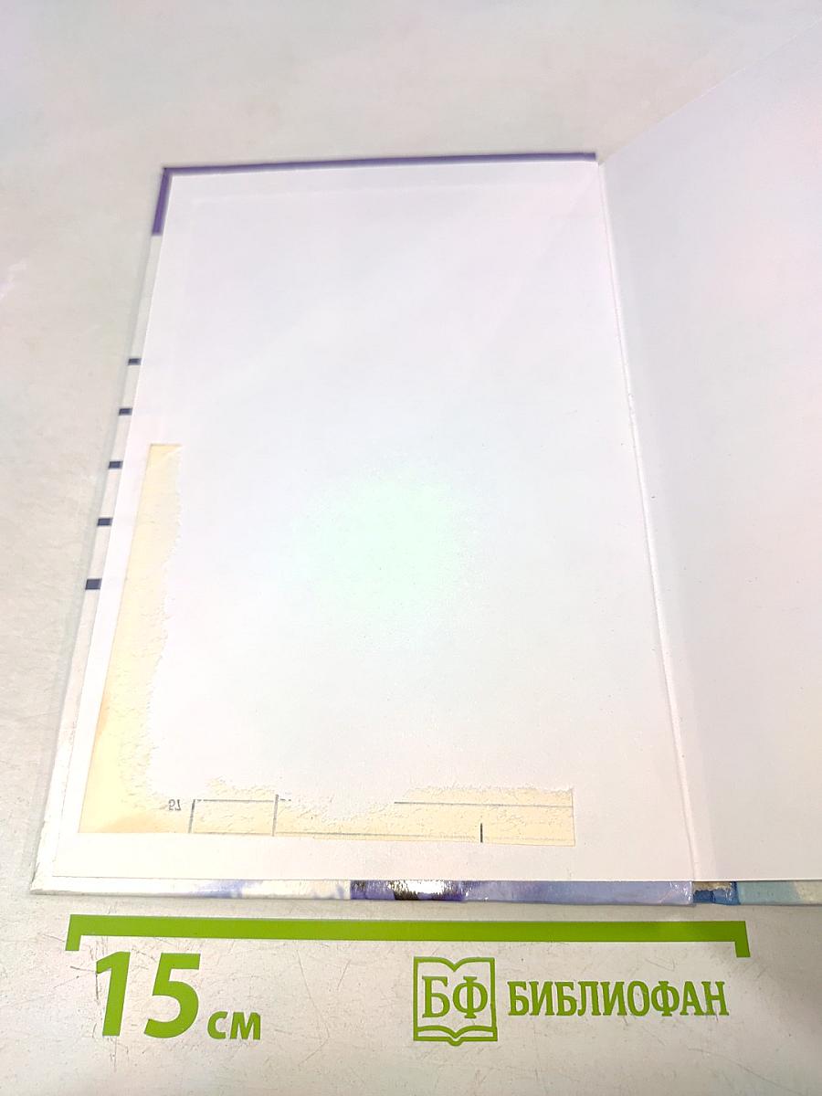 Маркетинг иностранного туризма в Российской Федерации. Теория и практика деятельности туристских фирм