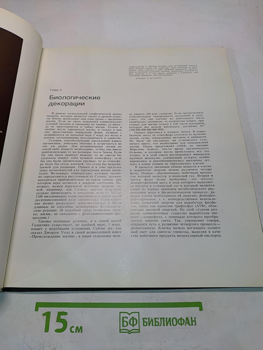 Драма океана