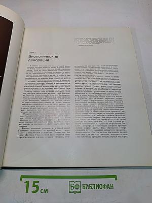 Драма океана