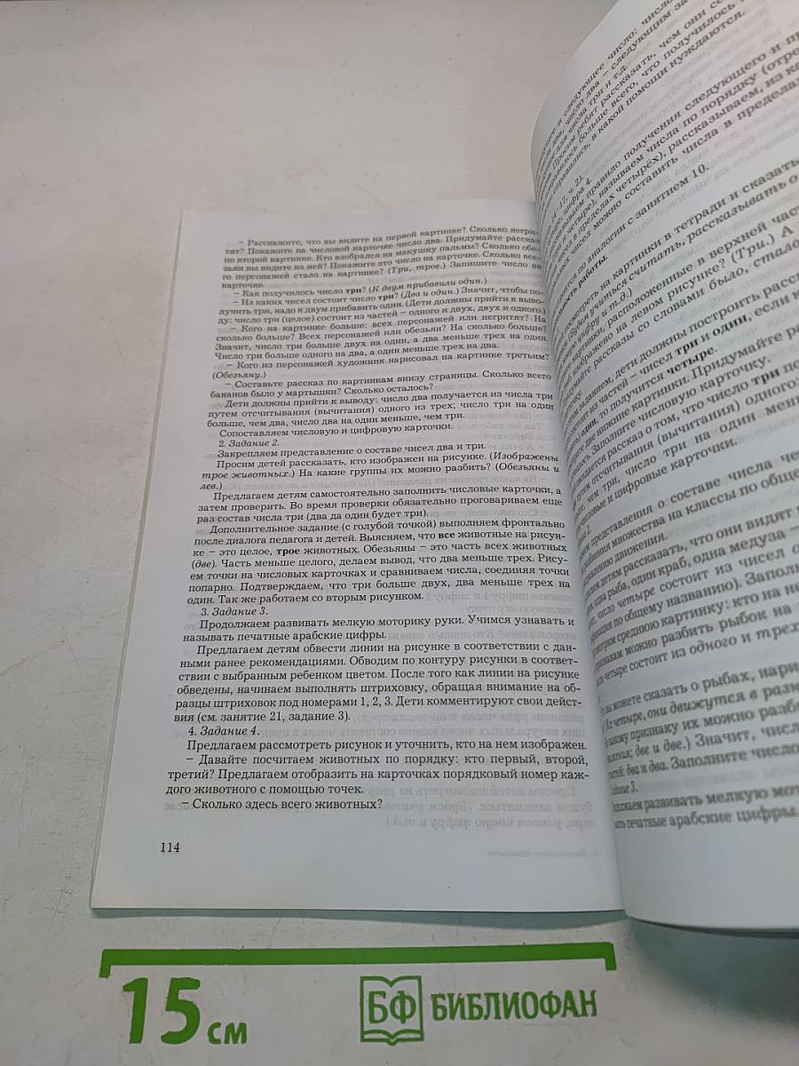 Предшкольное образование (образование детей старшего дошкольного возраста). Сборник программно-методических материалов