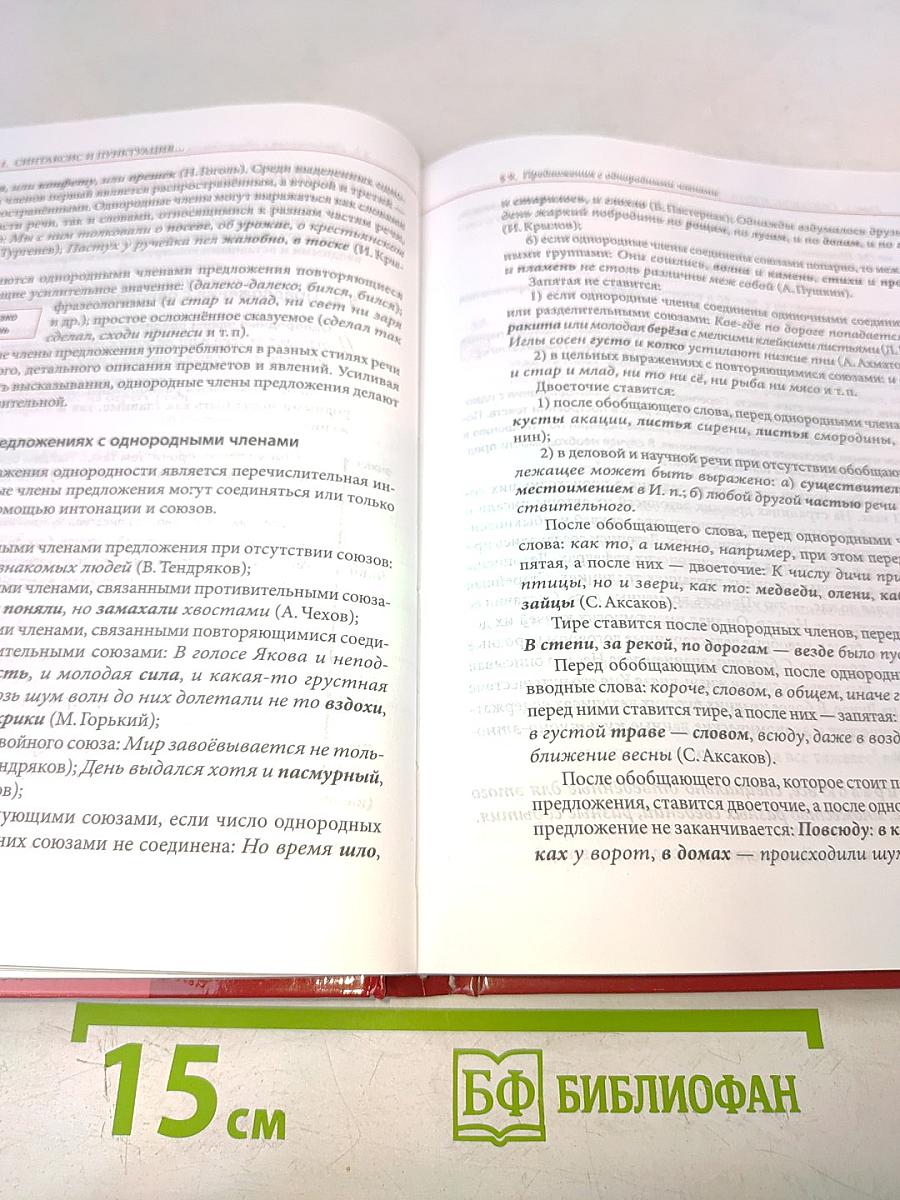 Русский язык. Учебник для 11 класса (базовый уровень)