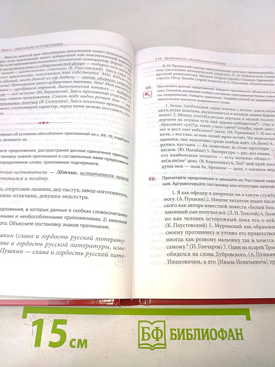 Русский язык. Учебник для 11 класса (базовый уровень)