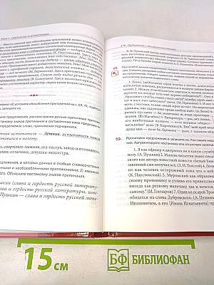 Русский язык. Учебник для 11 класса (базовый уровень)