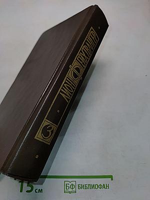 Успех. Книги 4-5. Семья Опперман