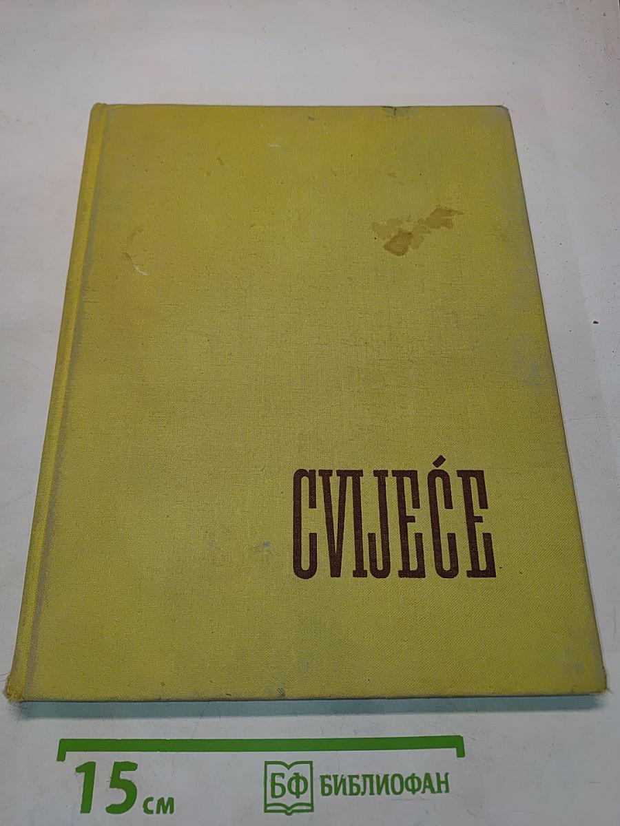 CVIJEĆE pred objektivom