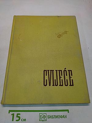 CVIJEĆE pred objektivom