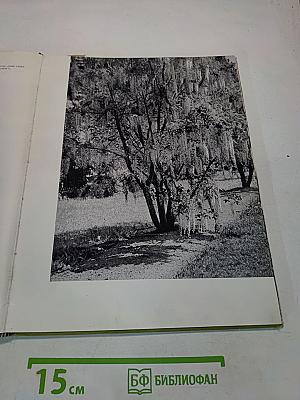 CVIJEĆE pred objektivom