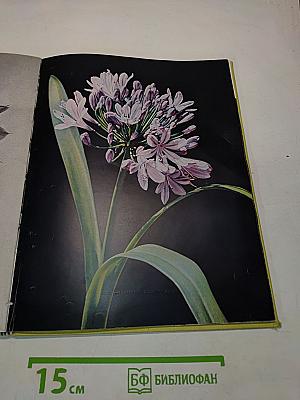 CVIJEĆE pred objektivom