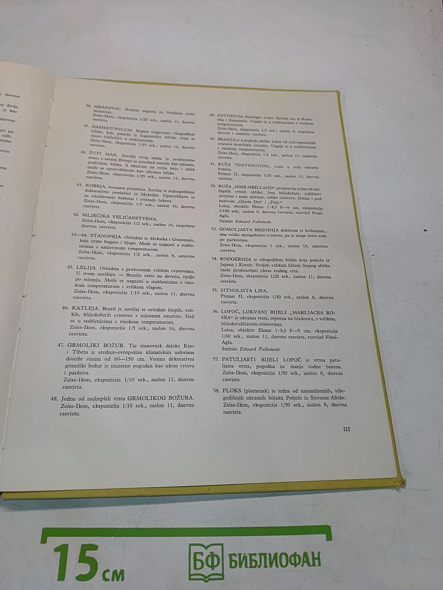 CVIJEĆE pred objektivom