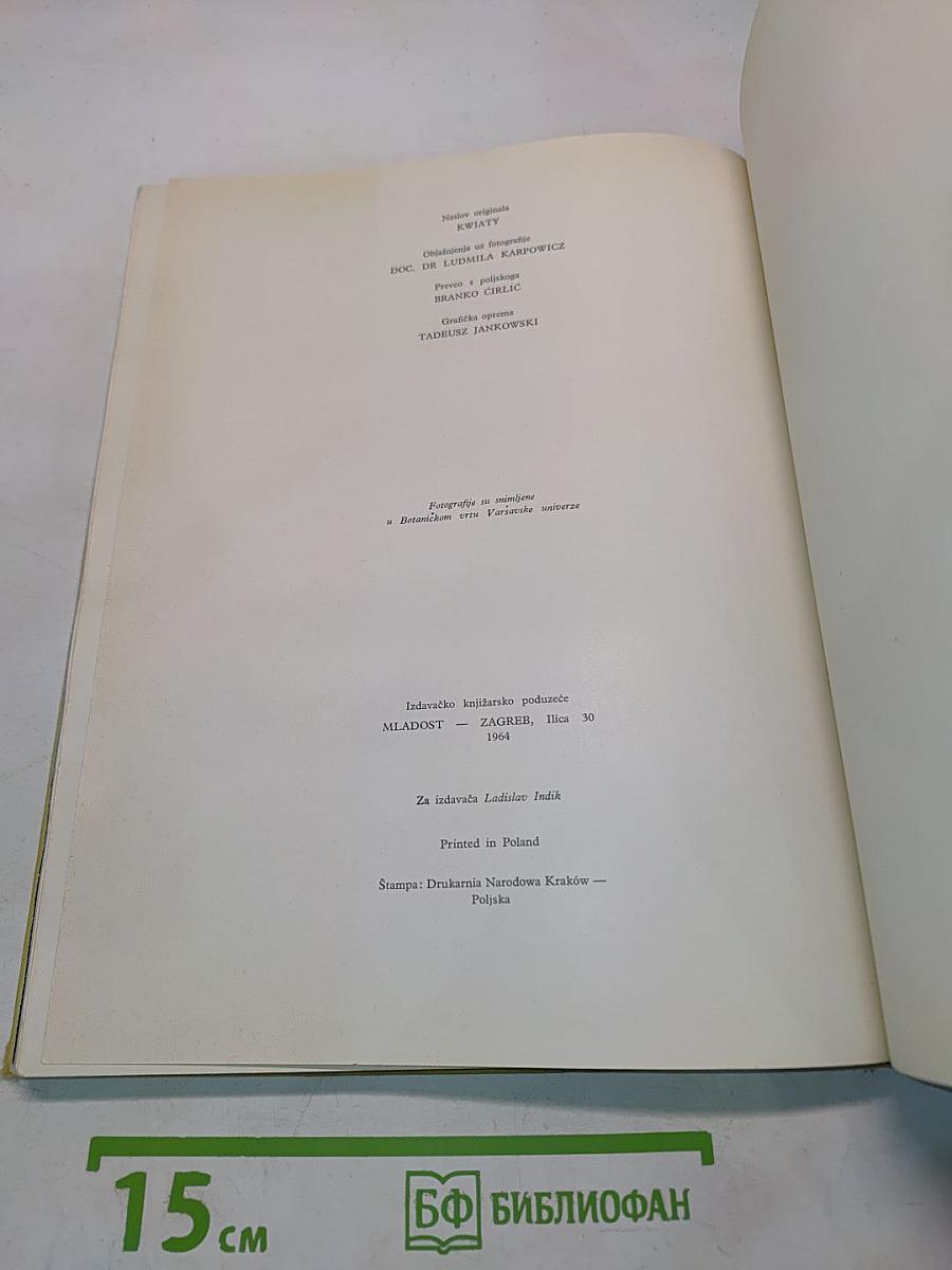 CVIJEĆE pred objektivom