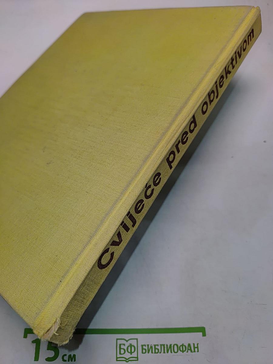 CVIJEĆE pred objektivom