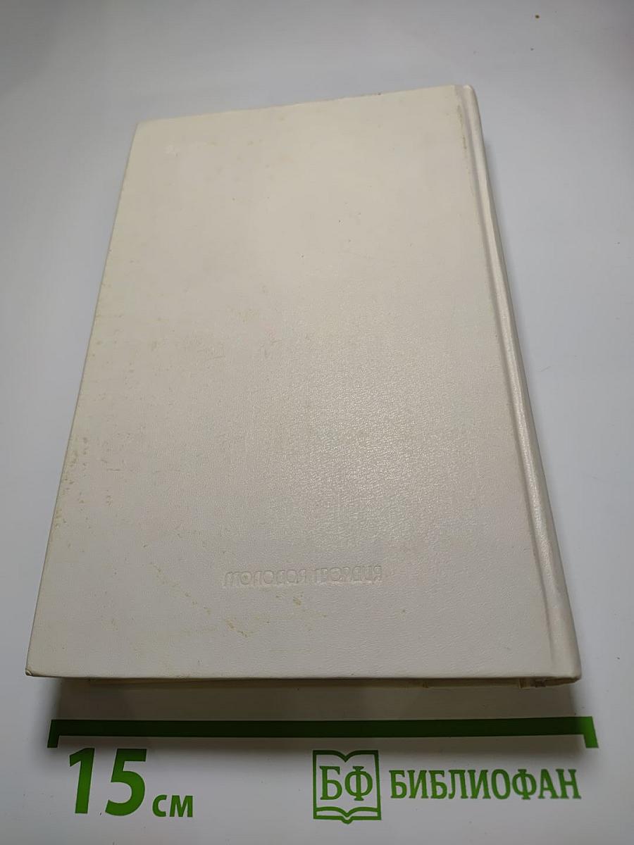 Накануне Смуты