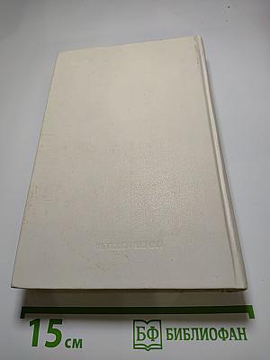 Накануне Смуты