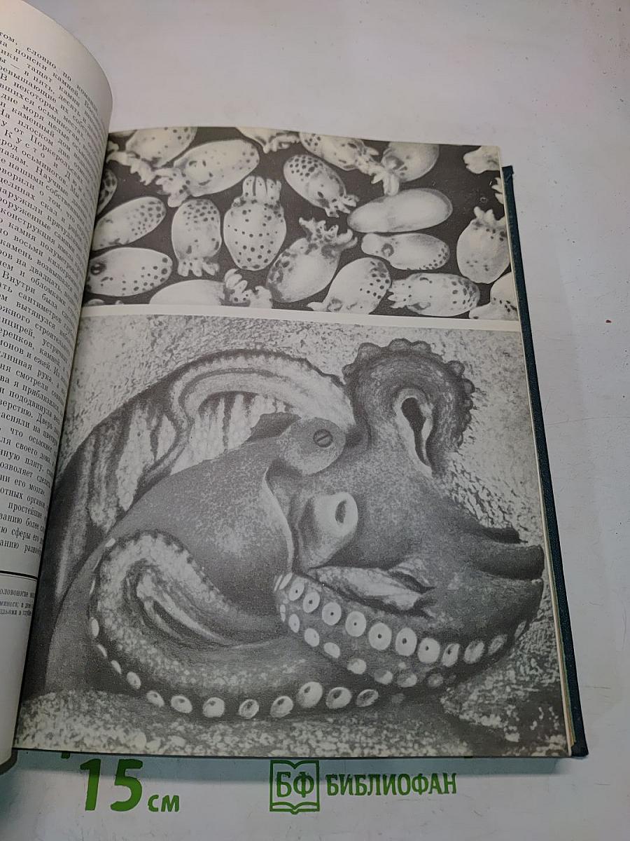 Жизнь животных. Том 2. Беспозвоночные