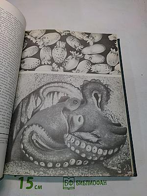 Жизнь животных. Том 2. Беспозвоночные