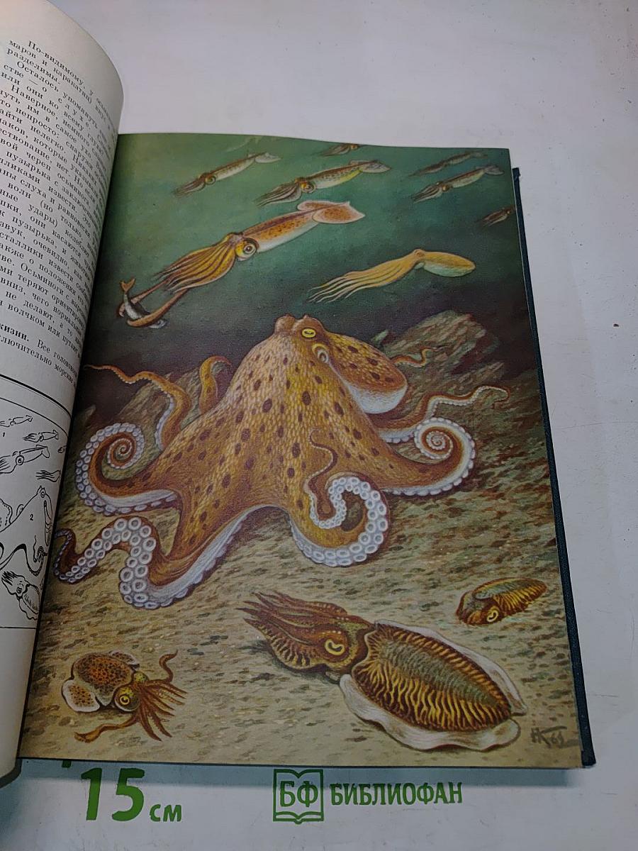 Жизнь животных. Том 2. Беспозвоночные