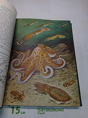 Жизнь животных. Том 2. Беспозвоночные