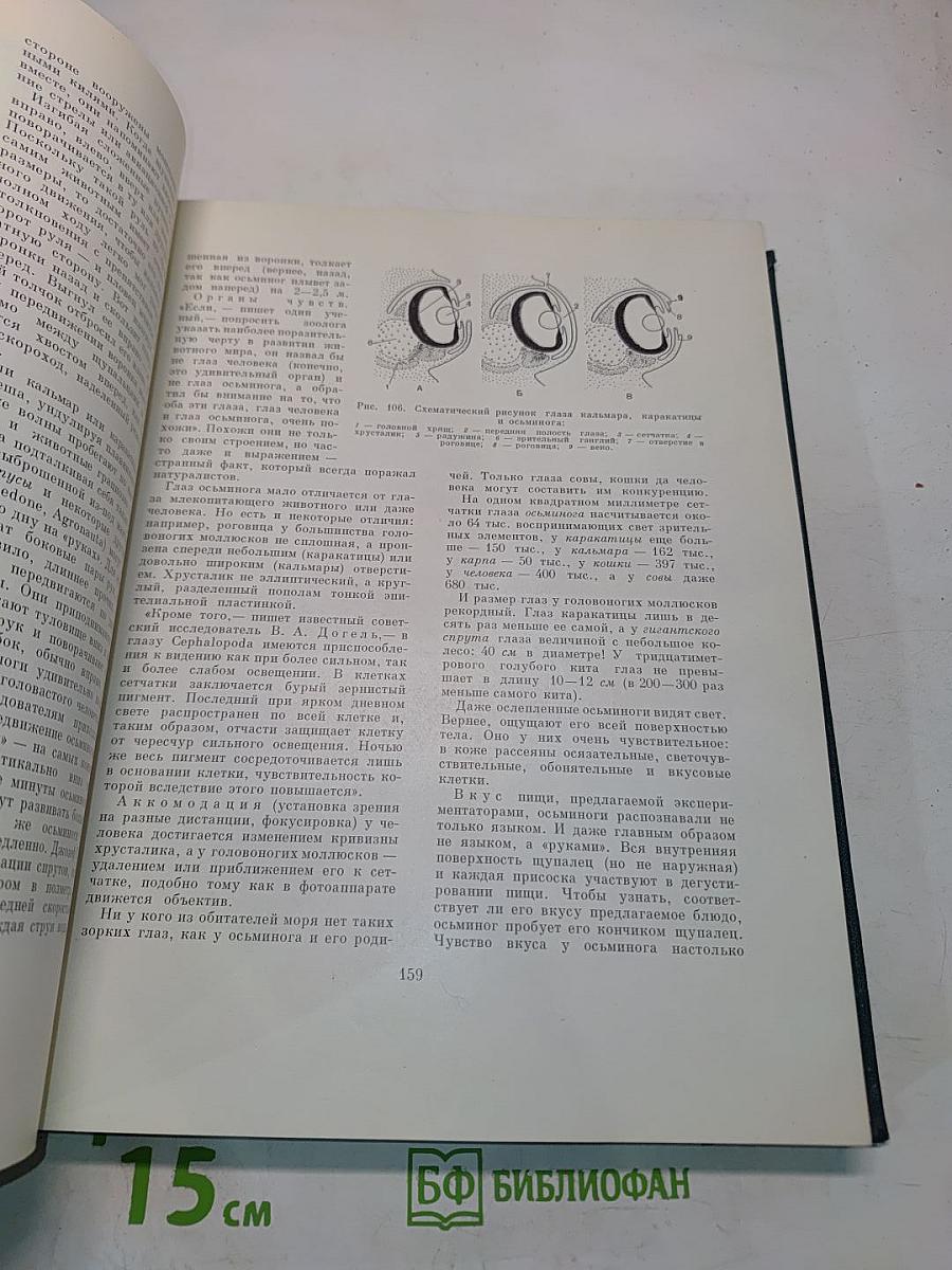 Жизнь животных. Том 2. Беспозвоночные