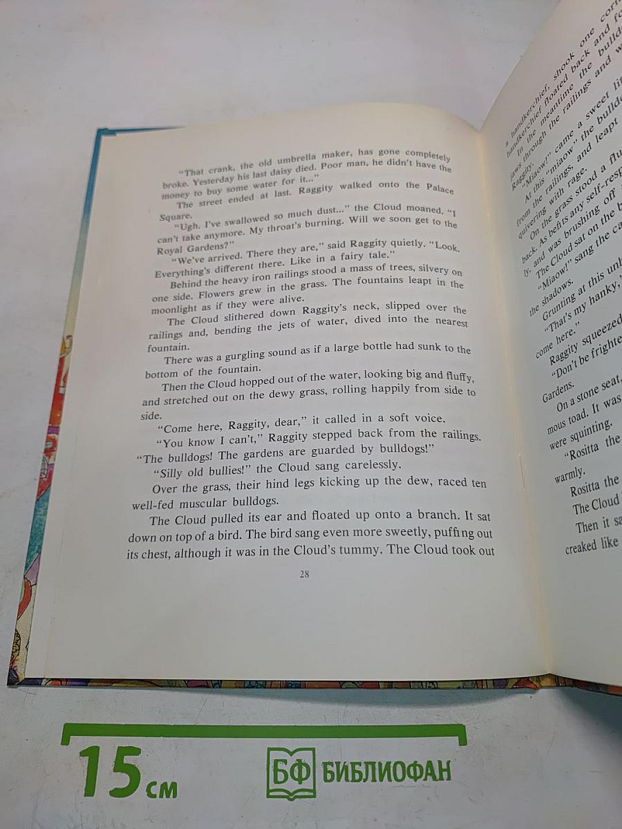 Raggity and the Cloud