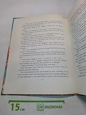 Raggity and the Cloud