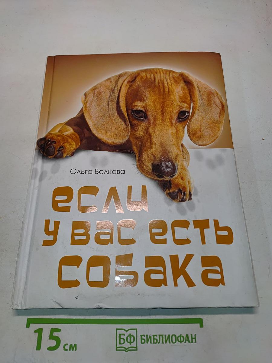 Если у вас есть собака