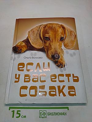 Если у вас есть собака