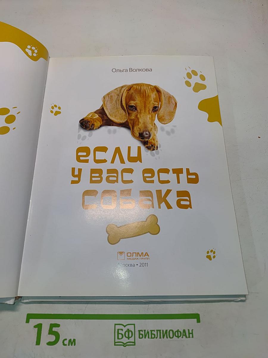 Если у вас есть собака
