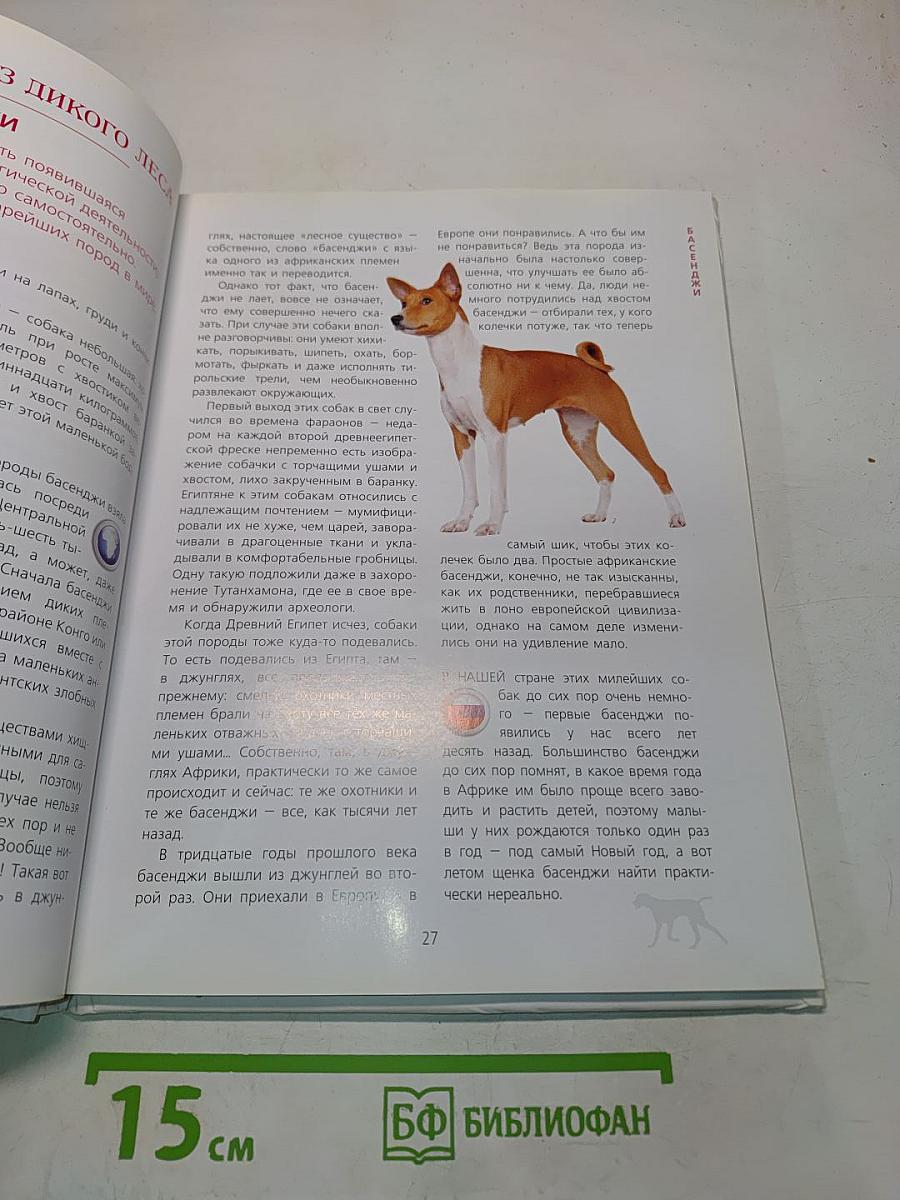 Если у вас есть собака