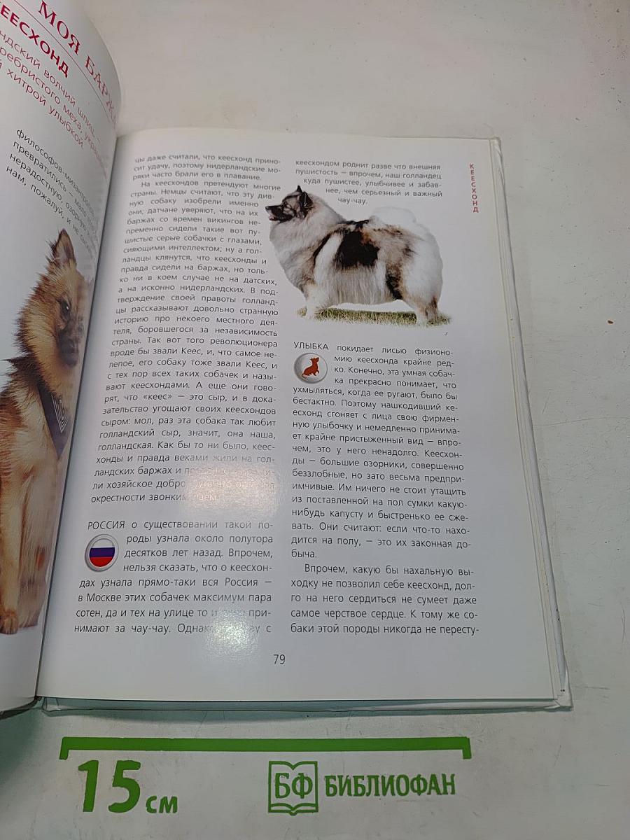 Если у вас есть собака