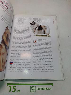 Если у вас есть собака