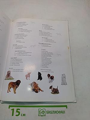 Если у вас есть собака