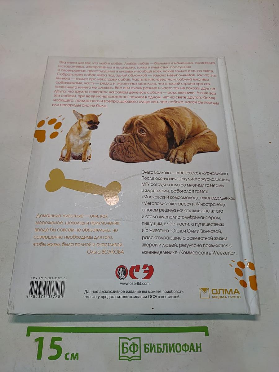 Если у вас есть собака